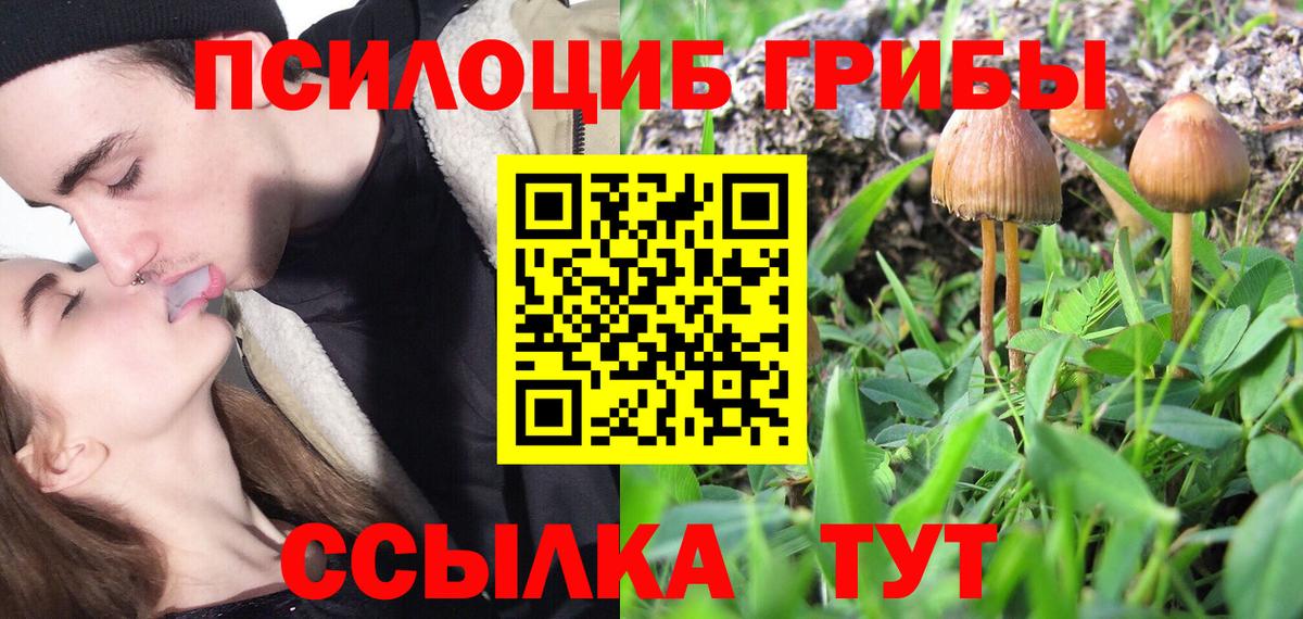 Галлюциногенные грибы мицелий  Вход с VPN  Барабинск 